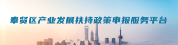 奉贤区产业发展扶持政策申报服务平台