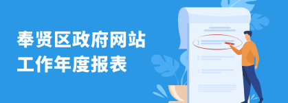 奉贤区政府网站工作年度报表