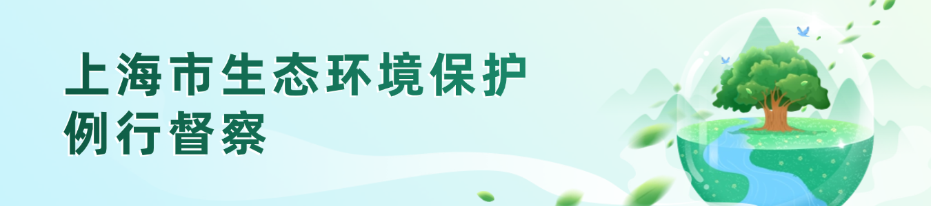 上海市生态环境保护例行督察