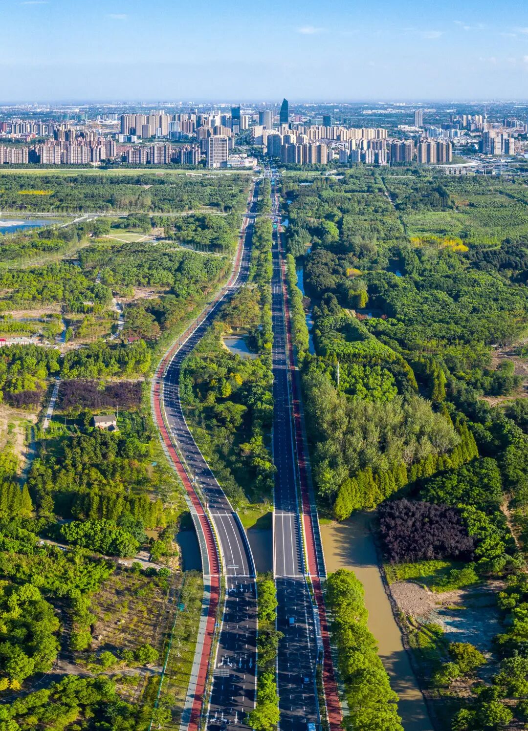 望园路森林大道.jpg