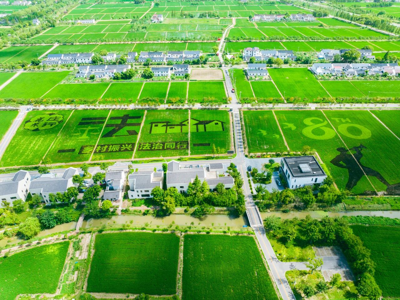 Explore Marvel of Zhuanghang's Rice Paddy Art in Agreeable Season 