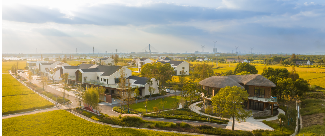 Discover summer treats in Fengxian