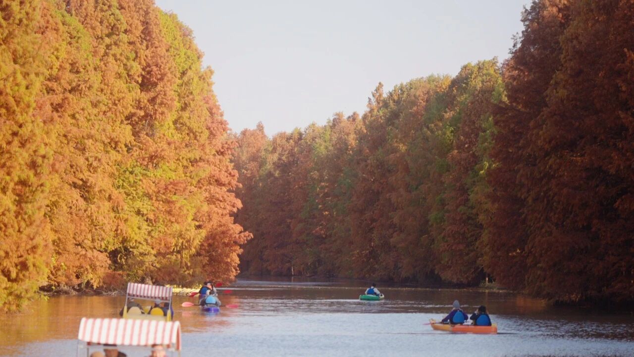 Discover Winter's Romantic Colors in Haiwan