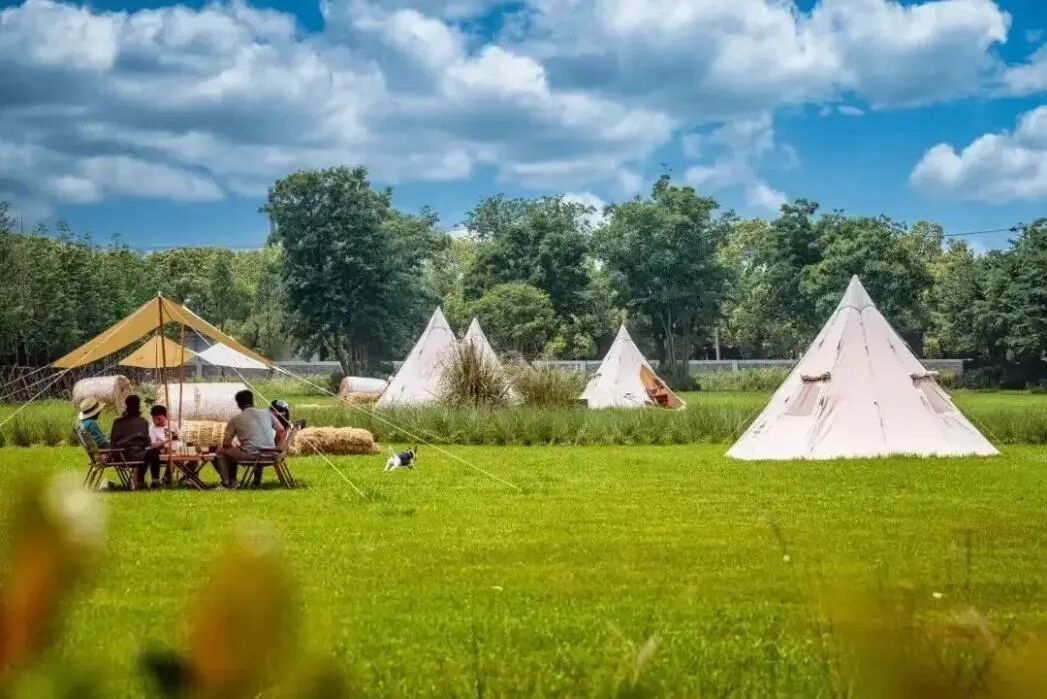 Discover Shanghai's Coffee Gems, Explore These Cafés in Fengxian!