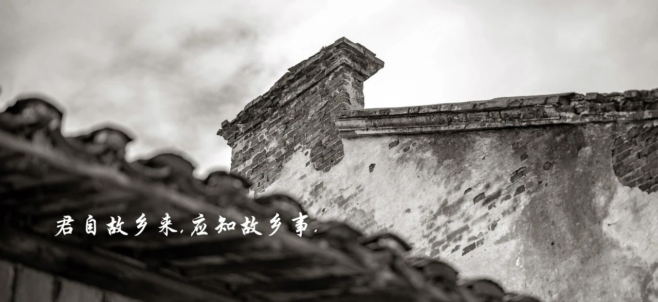 古城往事丨奉城这里曾盛产螃蟹，媲美阳澄湖大闸蟹，你知道是哪里吗？