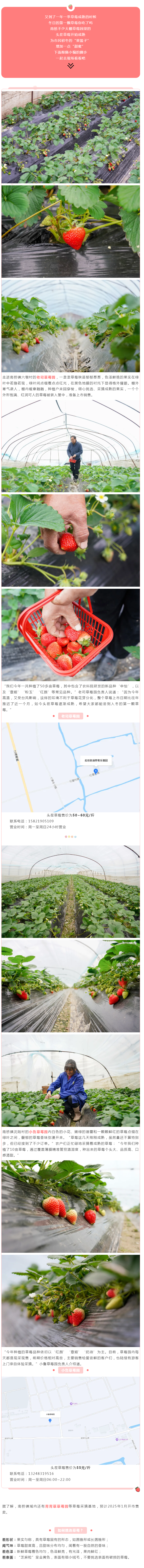 顾林 晚晚又发照片惹众怒，艺术名媛人设彻底不要了？ | Nestia