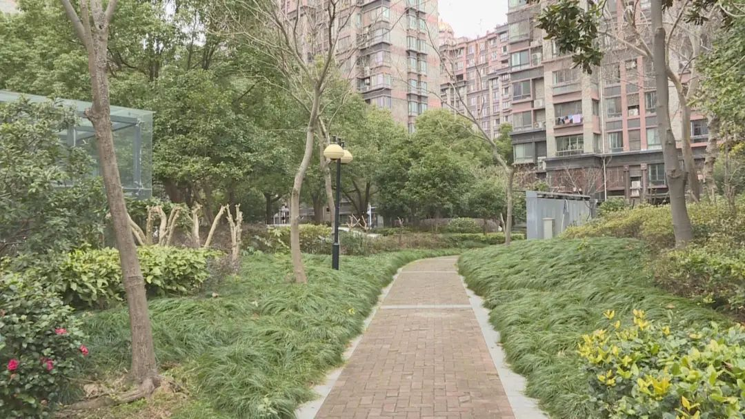 微信图片_20250319102944.jpg