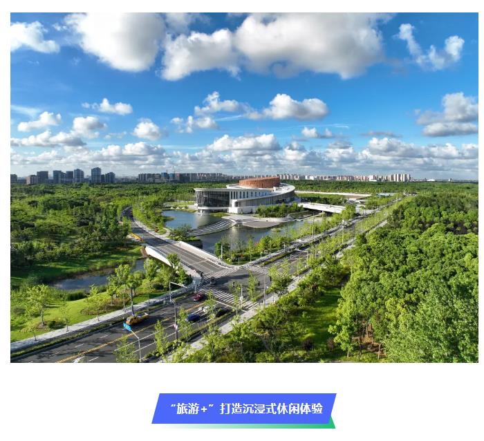 九棵树.jpg.jpg