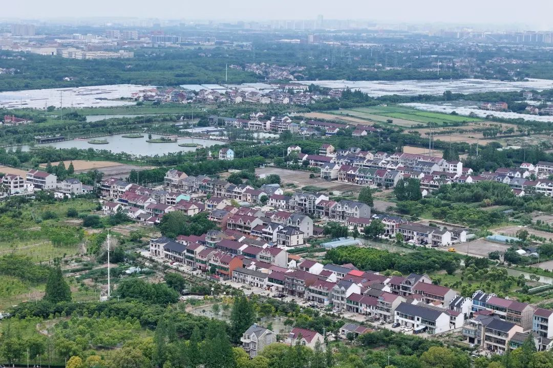 DJI_20250527112445_0561_D.JPG
