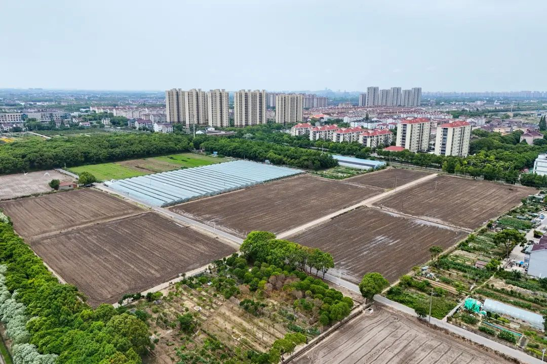 DJI_20250527112237_0557_D.JPG