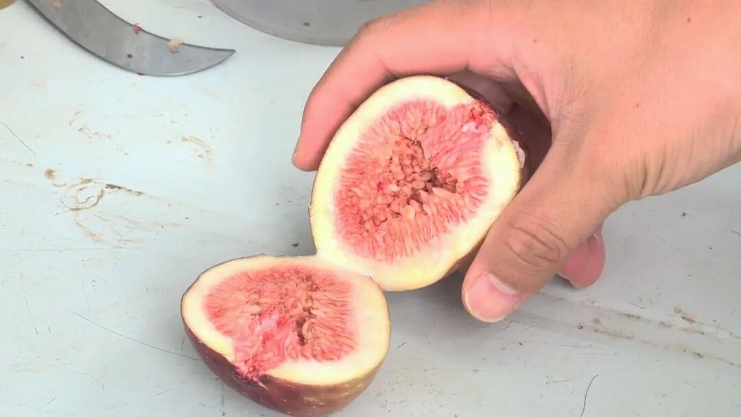 9月9日 (1)(2).jpg