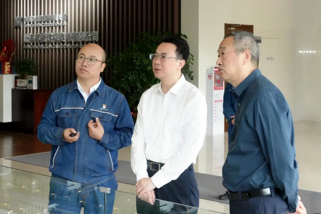 区领导调研金汇镇