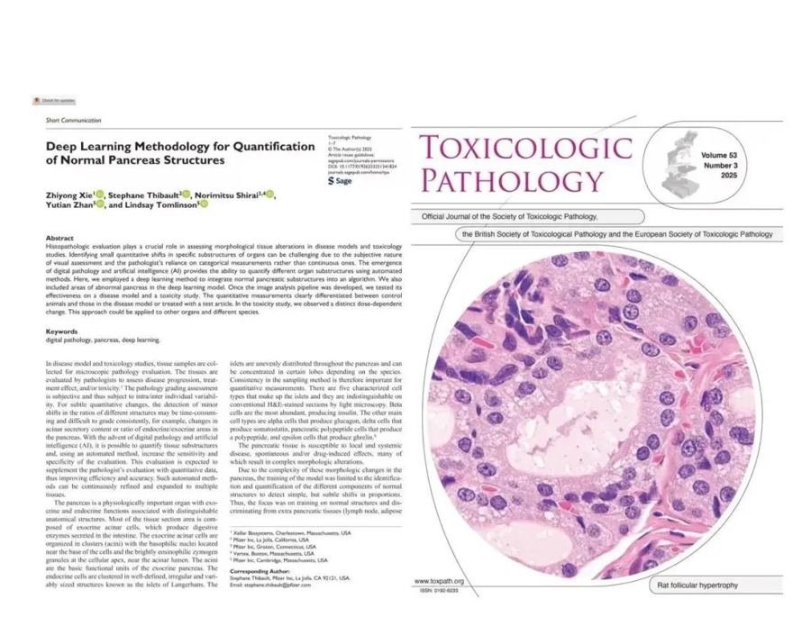 耀速与制药巨头辉瑞公司在国际权威期刊《Toxicologic Pathology》联合发布“AI深度学习病理图像自动识别系统”研究成果