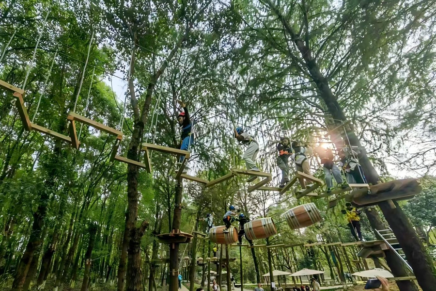 金汇镇明星村的树间跳动森林探索营地