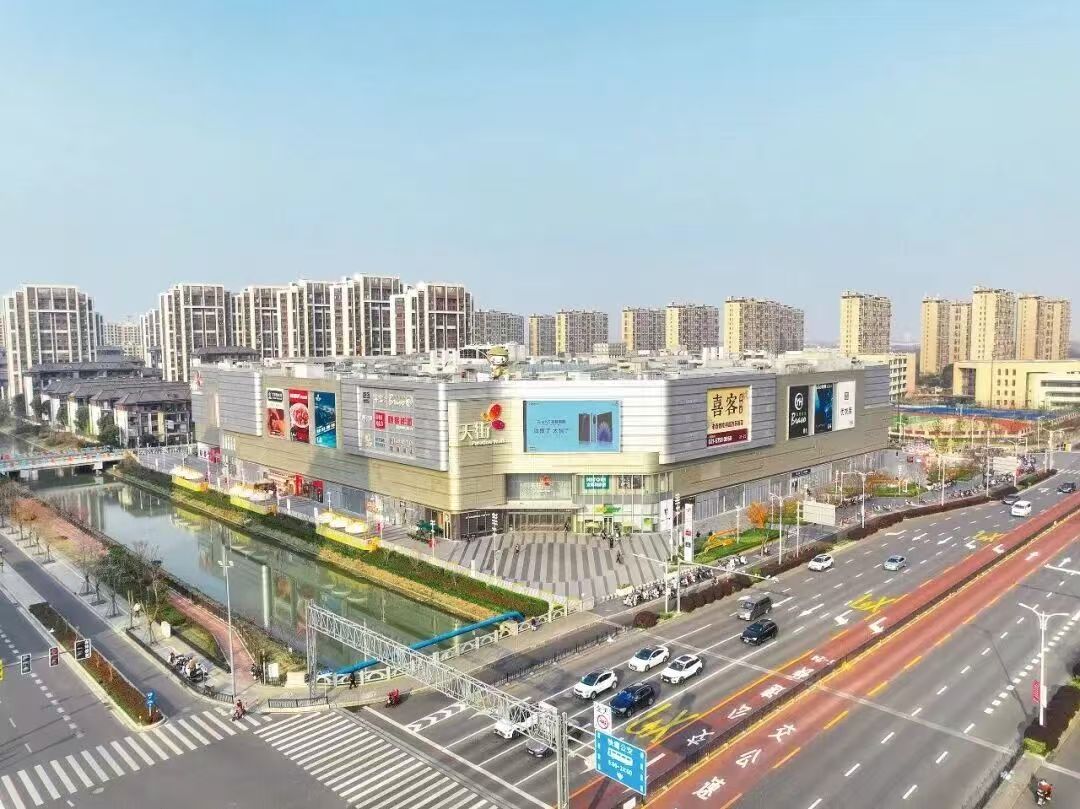 实干，金汇镇实干筑根基，汇力启新程 | 回眸与展望