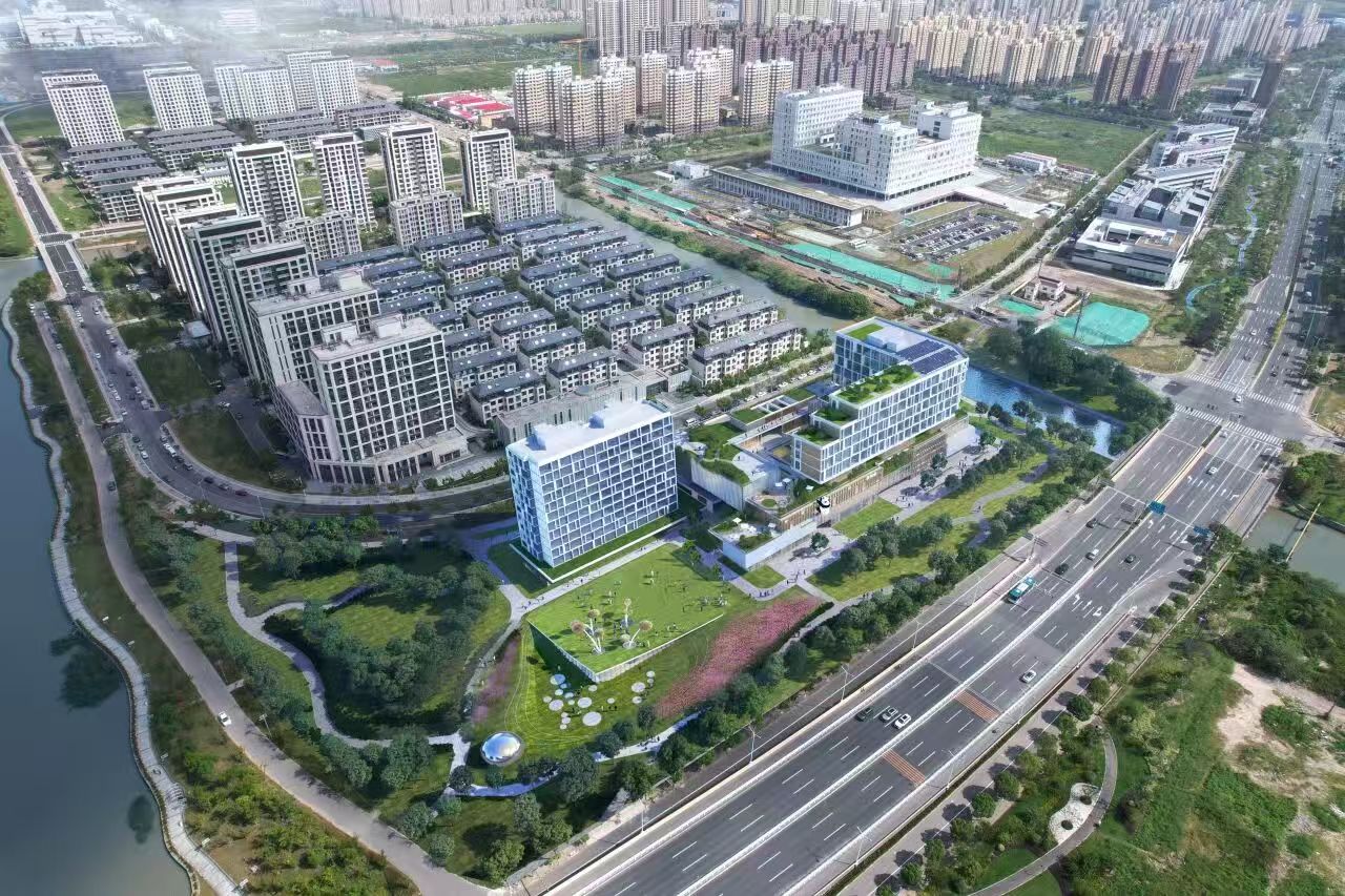 进度更新！金汇镇重点项目建设最新进展！