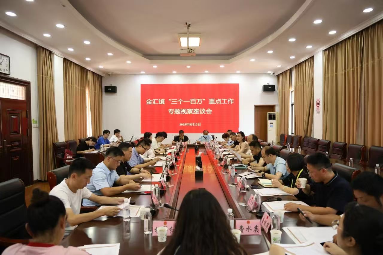 金汇镇开展2025年“三个一百万”重点工作视察暨“政府开放月”活动