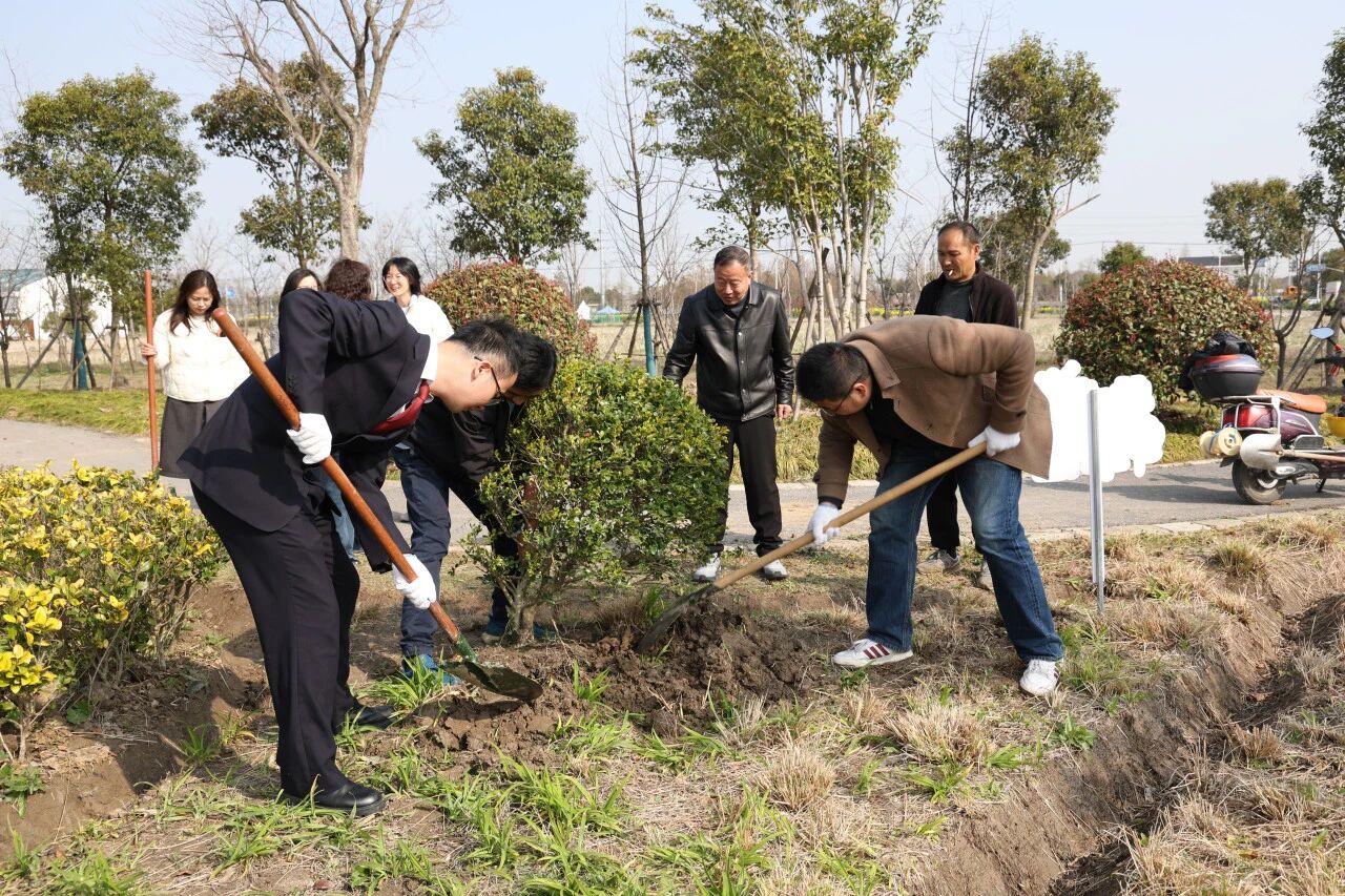 春分到，种棵树，学法典！新强村这场活动“植”得一看
