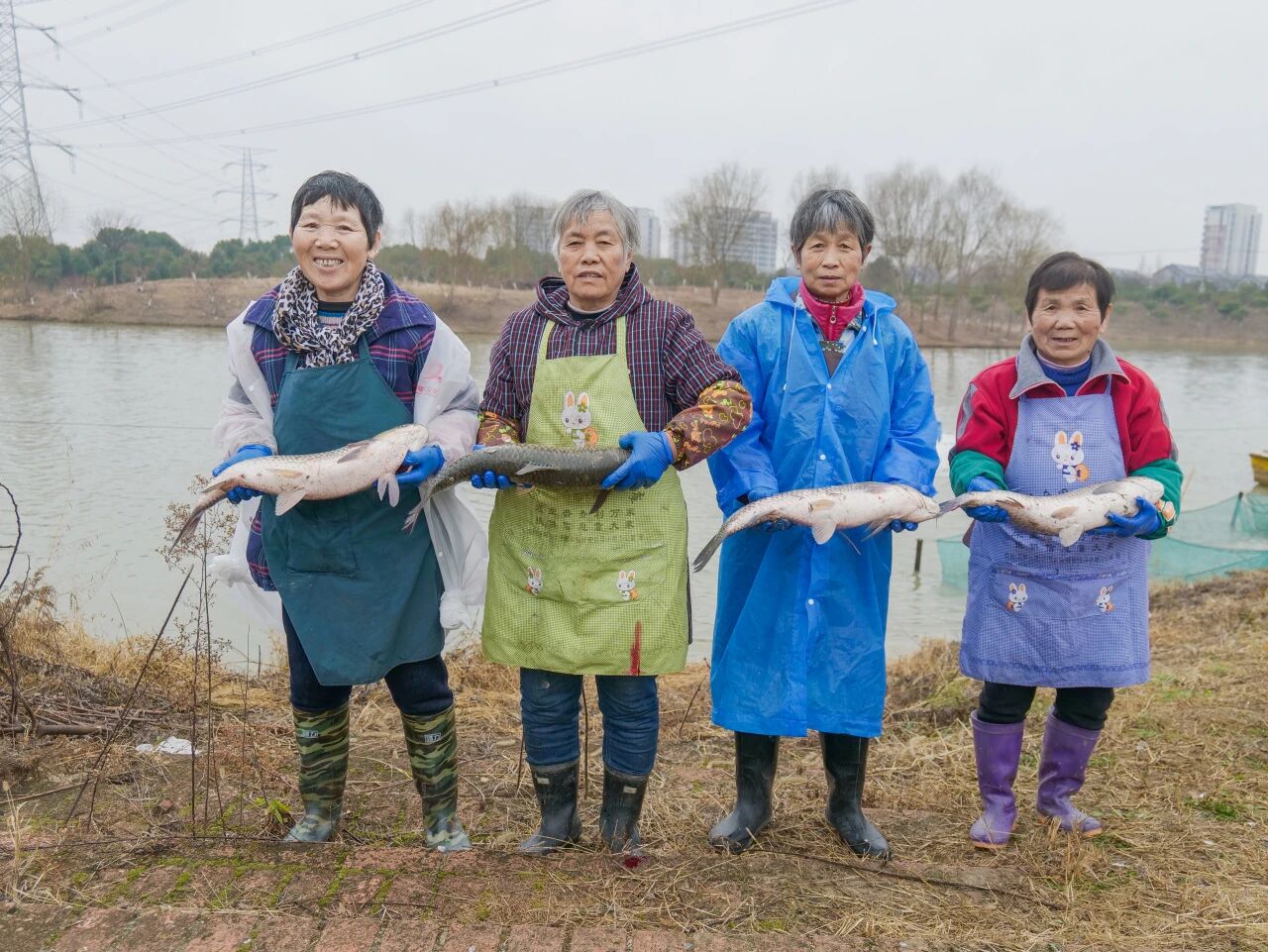 年年有“鱼”，享乐新春！村里的分鱼现场幸福满满！