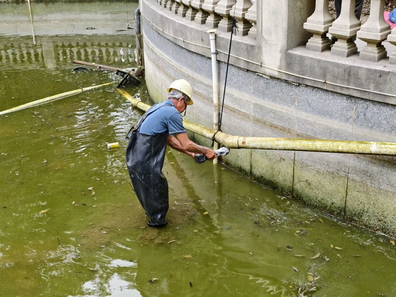 小区景观河焕新记,多方联手让幸福河岸“惊喜开挂”→