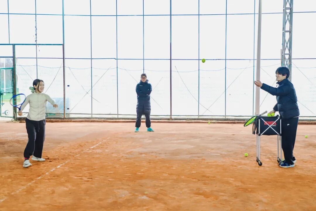 俊男靓女、实力运动员齐聚！草地网球场迎来第一波集训队伍→