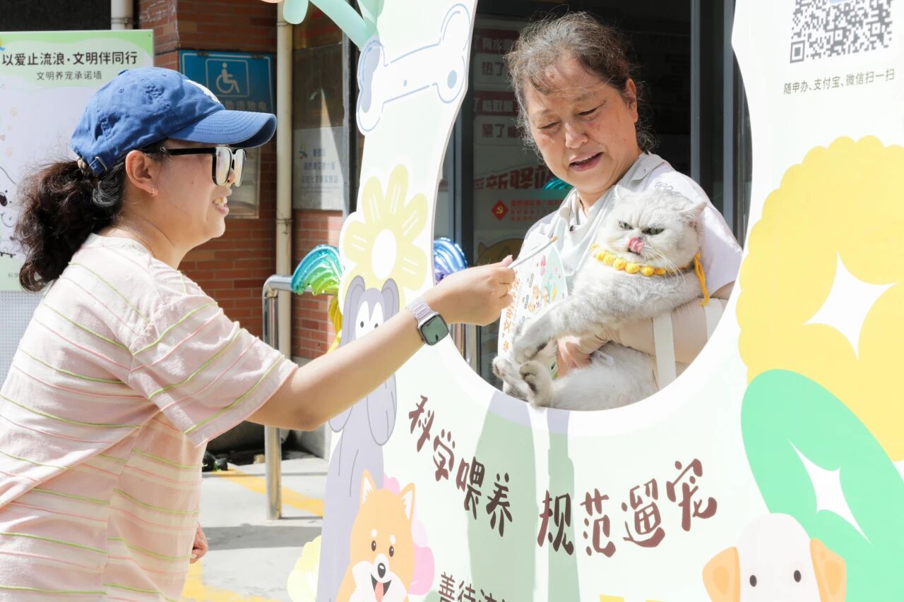 让“毛孩子”不再流浪,这个社区这么做→