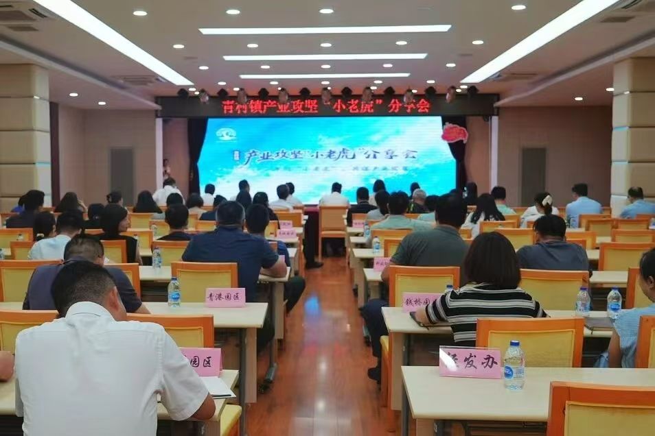 谋产业，促发展丨青村镇召开产业攻坚“小老虎”分享会