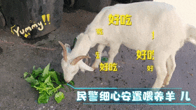 696.gif
