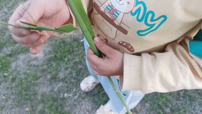 5.gif