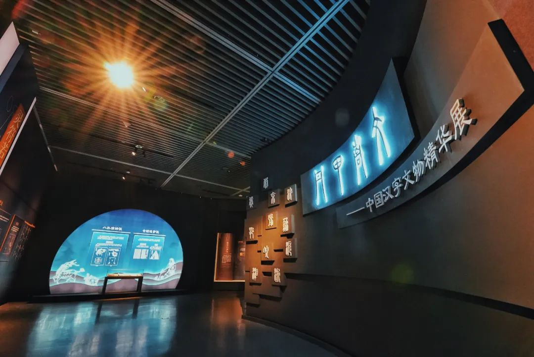超30万人次打卡！奉贤“丹甲青文”大展为什么这么火？