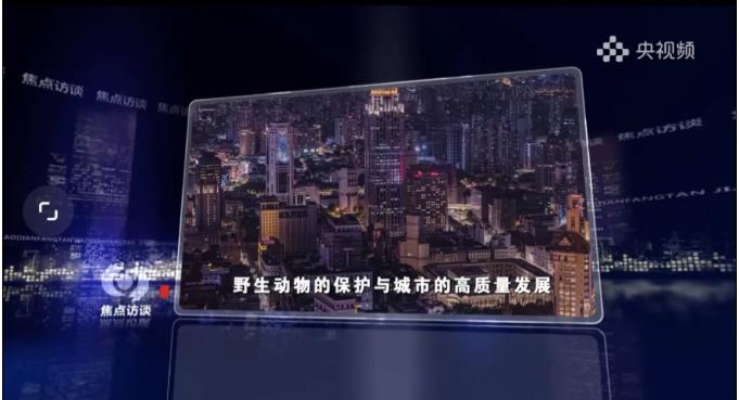 发生在奉贤的这件事，登上央视《焦点访谈》开篇案例！