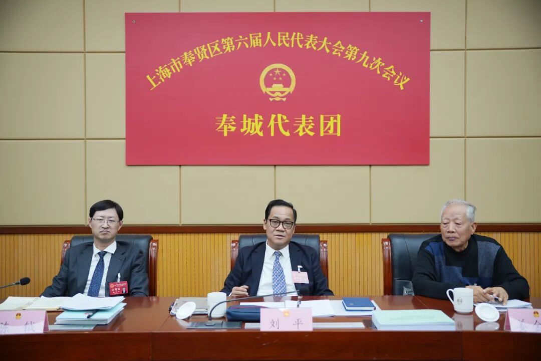 凝聚发展合力，彰显使命担当！刘平参加奉城代表团、四团代表团、西渡代表团审议和讨论