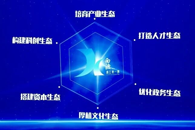 “西引力·渡无忧”，西渡街道全力打造“六边形”生态营商环境项目丨营商环境 “优”无止境