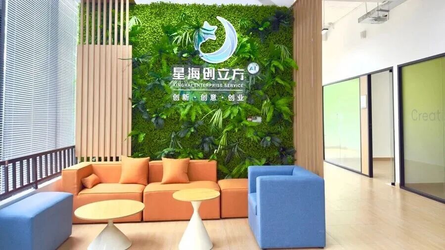 从深圳到奉贤的“加速跑”，“零负担”营商生态助力企业实现“拎包创业”丨营商环境 “优”无止境