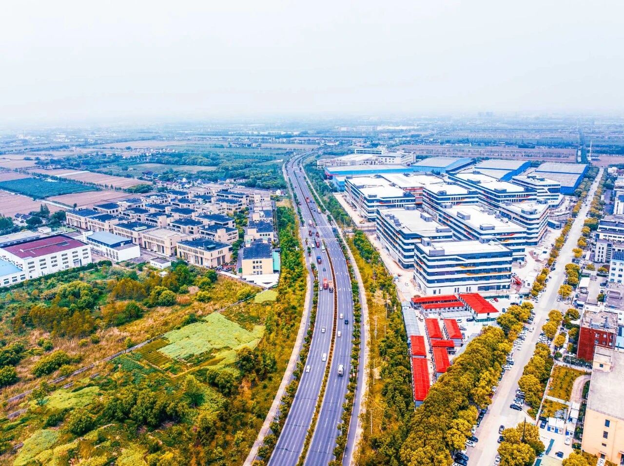 庄行以多维党建示范带赋能“浦卫”创新产业带