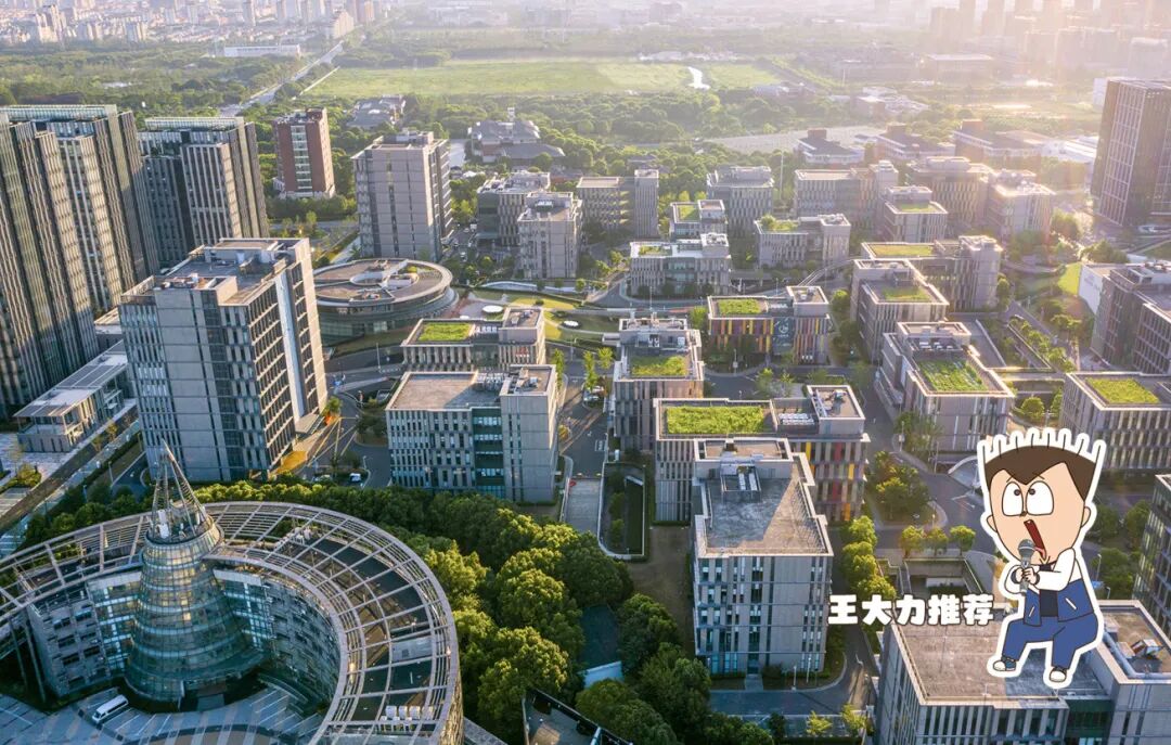 新的一年，奉贤新城等你来发现！