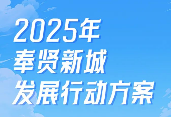 2025年奉贤新城发展行动方案发布